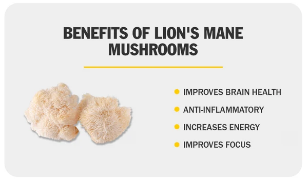 Benefits of Lion's Mane Mushroom: anti-inflammatory, improves brain health, increases energy, improves mood 