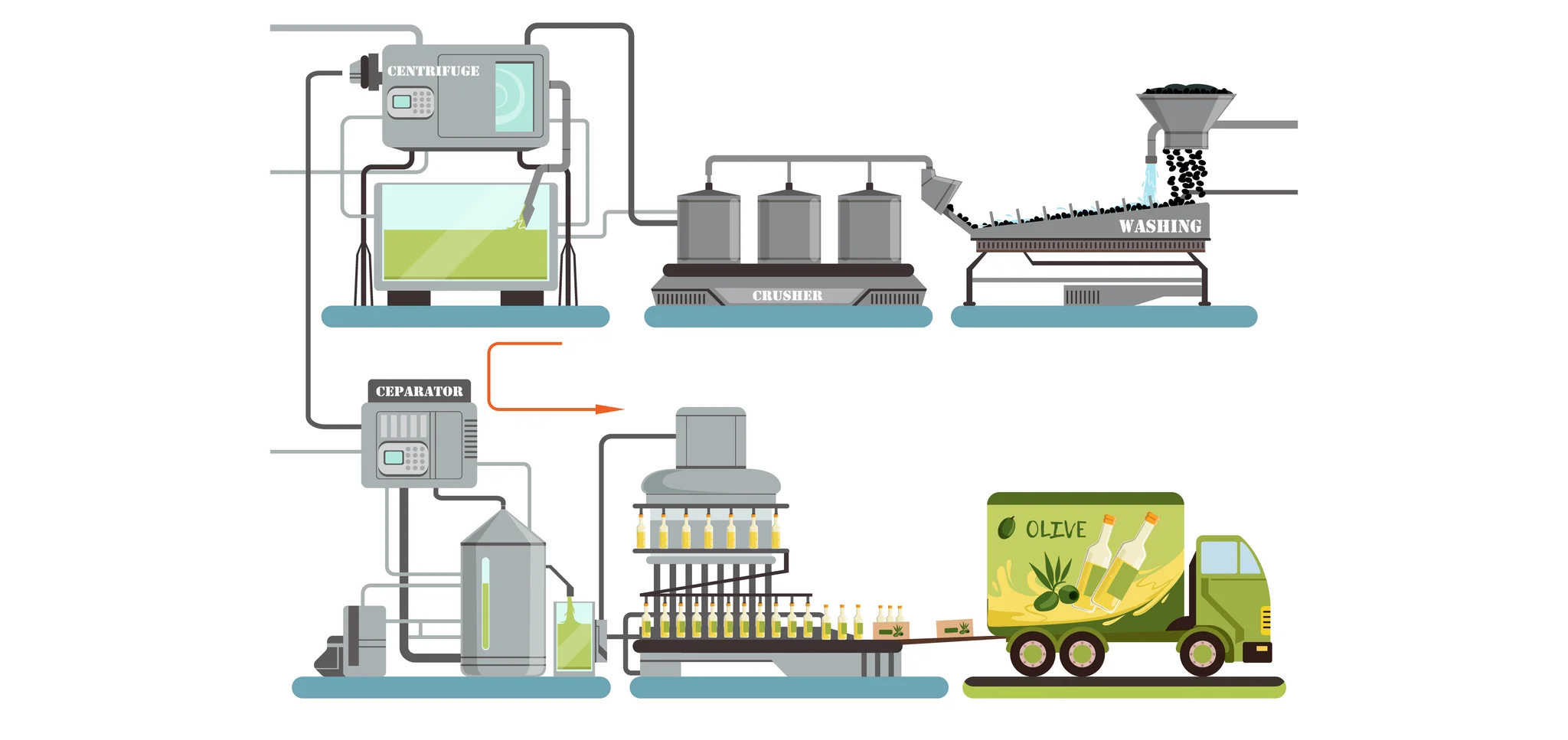 Graphic showing olive oil production from crushing to separation to racking to bottling