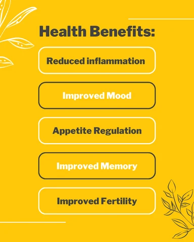 infographic listing the benefits of a healthy endocannabinoid system